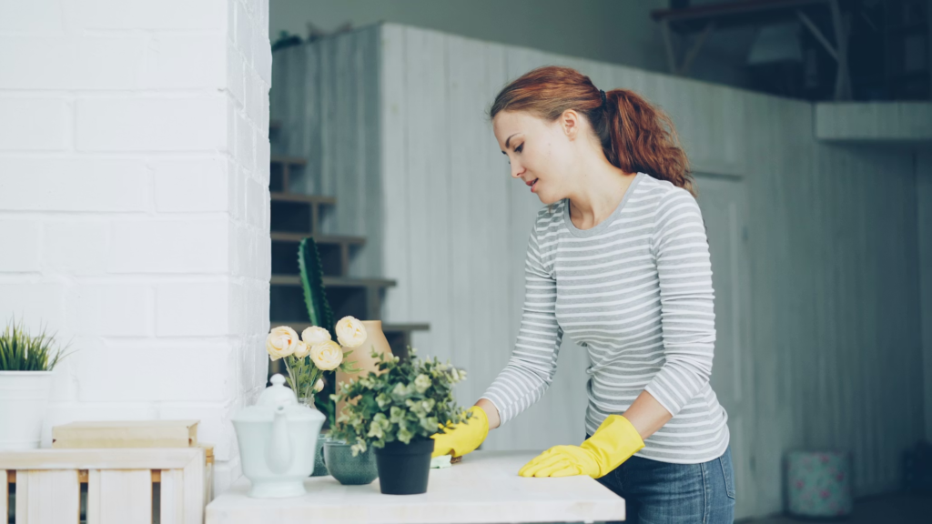 house cleaning service in Odenton MD