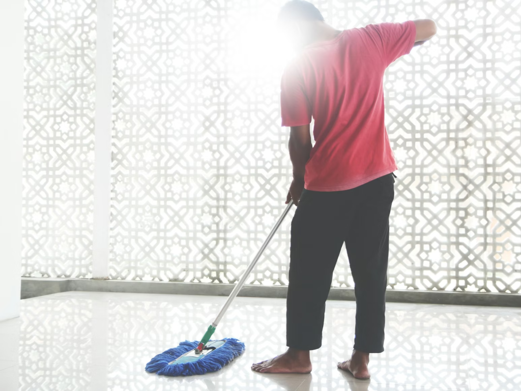 professional home cleaning Odenton