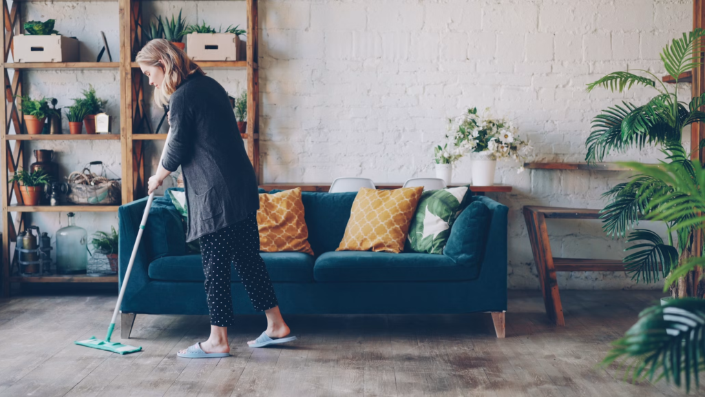 Severn house cleaner service